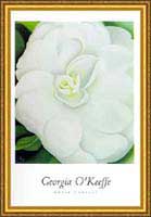 White Camelia, Georgia O'Keeffe